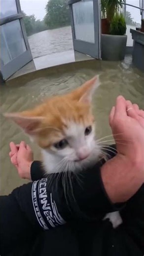 Phillies land All-Star closer Jhoan Duran ahead of MLB trade deadline