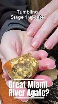 Beautiful Ohio Flint (Nether's Farm) and more... Rock Tumbling Stage 1 update! #rocktumbling #rock