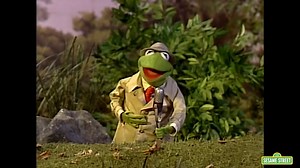 Sesame Street Episode 3986