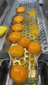 Precision & Automation: The Future of Modern Food Processing