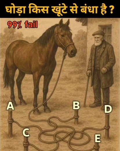 Mind Testing|Gk|Gktricks|Gkquiz