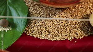 Indian wedding ceremony : wheat and oil lamp
