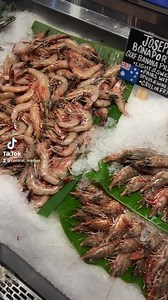 10K views · 57 reactions | Explore the World of Shrimp at Central...