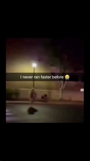 scary things👹 on Instagram: "post from fan account @universal_scaryvideo features a 28-second compilation video highlighting actress Mia Goth's iconic screams across three recent horror films in the Scream franchise directed by Ti West. The video is split into three labeled sections: "2024" (from X): Mia as Maxine, bloodied and terrified, lets out a high-pitched, raw scream of pure fear while fleeing. "2025" (from Pearl): Mia as Pearl, in a close-up with tears, delivers a prolonged, emotionally