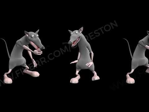 Dancing mice. Realistic professional 3D animation. 3D video footage. Rats 3D dancing.