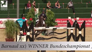 Cormint, standing at Drumhowan Stud in Monaghan this season. World #19 jumping sire in his age group. By Calido out of a Carthago x Lord mare. Like Cristo, He'll add chic to your plain mare, scope and movement. He was the vice champion at the Holsteiner approvals, before the Holsteiner Verband bought him. He bring a lot of physival blood to your mare and we recommend him for eventers equally, he already has 3* offspring. Here's his list of ofspring in sport https://www.horsetelex.com/horses/prog