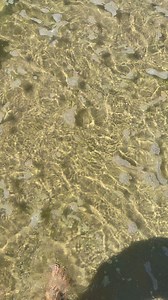 61K views · 1.2K reactions | Uncover Alabama | Dauphin Island - Mobile County This Alabama island has an exciting & mysterious history. Dauphin Island hold stories of explorers, pirates, soldiers, and now sunset chasers. #dauphinisland #uncoveralabama #Alabama #sunset | Uncover Alabama | Facebook