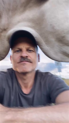 Happy Birthday, Mara ❤️ Today you turn 6! 🎊 Mara has been the herd’s boss for quite some time now, and I couldn’t imagine a better one. She’s grounded and gentle at heart. With her calm and peaceful nature, you can always find serenity by her side. Only when it comes to brushing does she show that she’s got quite the strong ego 😁 We love you, Mara — let’s grow old together 🫶 | Joar Berge