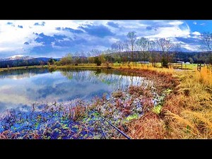 SUPER Effective Bank Fishing Setup! (BIG FISH HAMMER THIS BAIT!!!)