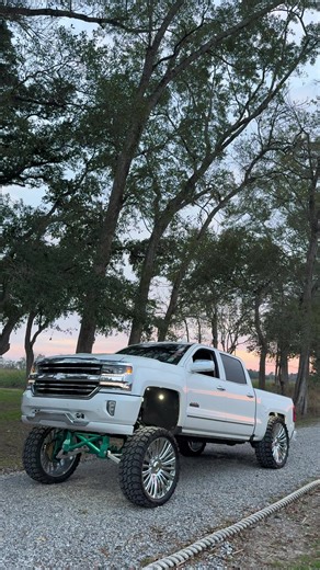 Creating Beautiful Designs with This Amazing Tool