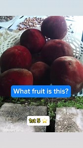 Guess the Fruit Challenge #fruits #fruitlover #fruitchallenge #reels #reelsviral #reelsfb #viralreels #fbreels #fbviral #fyp #shortsvideos | Paps Will