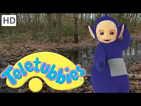 Teletubbies: Walking in the Woods - Full Episode