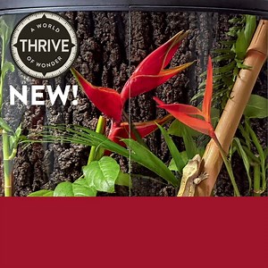 110K views · 31 reactions | Create a unique world for your reptile with Thrive habitats & accessories! | PetSmart | Facebook