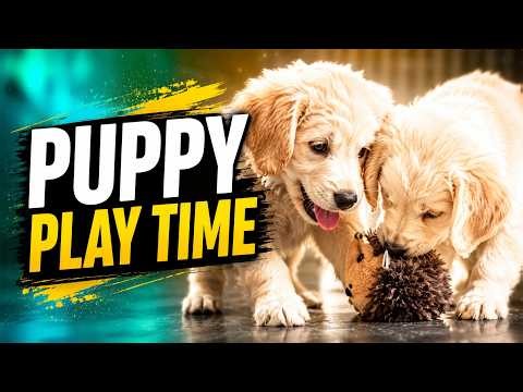 🐶 Puppy Play Time | Balanced Obedience Dog & Puppy Training