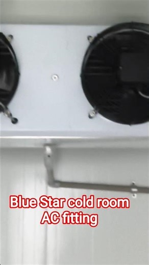 😱 Blue Star Cold Room AC Installation | Real Site Work 🔥
