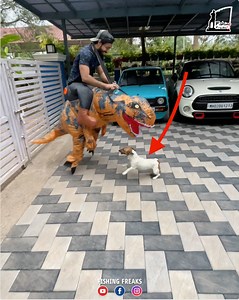 Dinosaur നെ കണ്ട പട്ടി.. ചിരിച്ചു ഒരു വഴി ആയി വീഡിയോ ഇഷ്ടപെട്ടാൽ ഷെയർ ചെയ്യണേ | Fishing Freaks