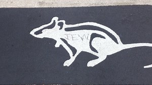 Arrest made in anti-Semitic graffiti sprayed on popular Chinatown intersection