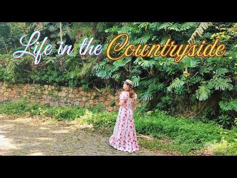 Cozy life in the Countryside: Baking cornmeal cake in the twilight