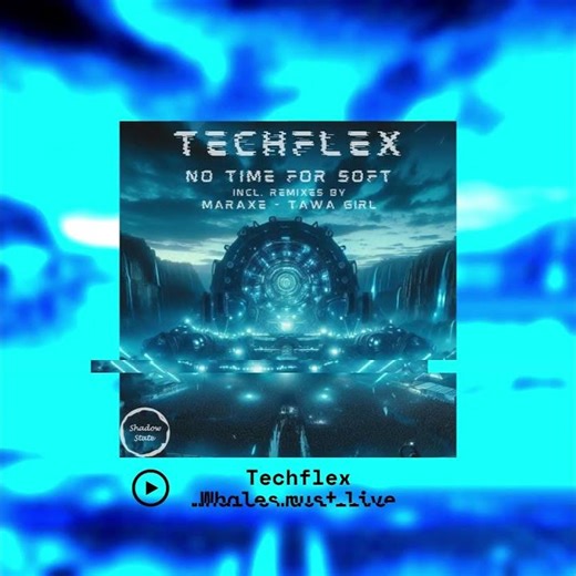 Techflex - Whales must live #techno #technomusic #undergroundtechno #rave