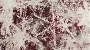 Versatility has never been easier! The new #Olympus Stylus TG-4 is tough enough to go anywhere and boasts sophisticated imaging technology that would capture every moment of your adventure! Think you're tough? Prove it with TG-4! | OM System India | Facebook