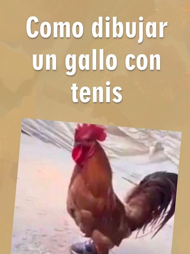 Cómo Dibujar un Gallo con Tenis: Tutorial Completo