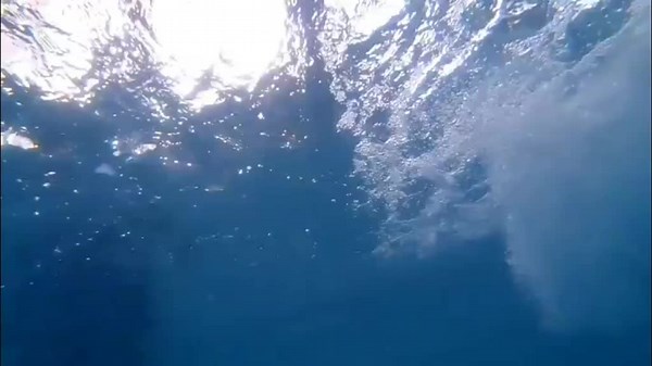 Drugany RF on TikTok