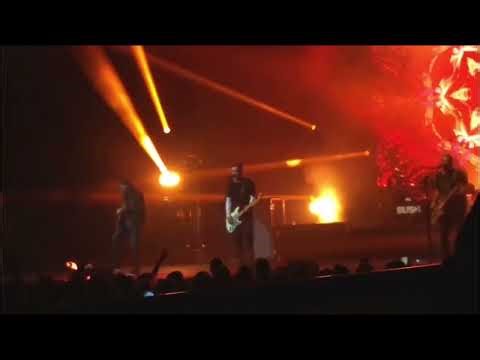 Bush - Greedy Fly (abbreviated) - Bethlehem, PA August 2017