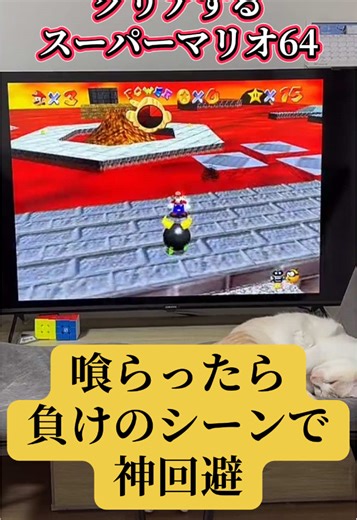 スーパーマリオ64で猫に邪魔されクリアする