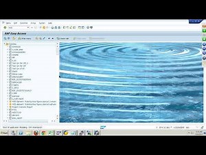 SAP BW-Managing DSO