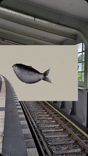 Daily Brainrot 🗣️🔥 on Instagram: "Horizontal rotierender Fisch #deutschememes #brainrot #fisch #reel"