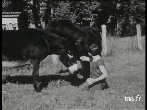 Portrait du petit Mehdi El Glaoui en 1965