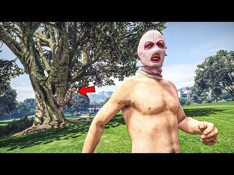 CACHE CACHE LASALLE ET UNWIN