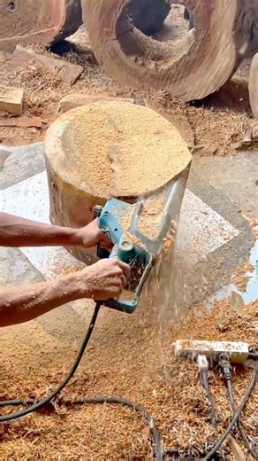 Technique Cutting Large Logs Safely Using Powerful Chainsaw Equipment