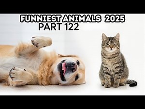 Funniest Animals Compilation 2025 😂🐶 Part 122