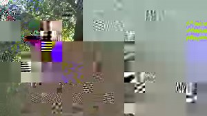 Lizard 🦎 attack! Just another day on patrol. | Chico Police Department