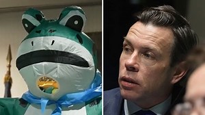 Why is a frog the symbol of fightback against Trump?