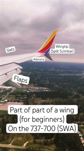 Parts of a wing for beginners #fypシ #fyp