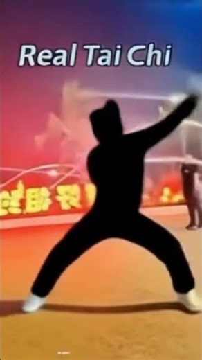 Bombay Cat Is a Smart Student, After Learn Chinese Tai Chi From Nezha, It Create a Real Taichi #ai