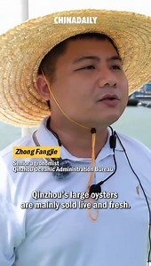 🦪 Discover CHINA’S OYSTER KINGDOM! 7/10 baby oysters in China start life in Qinzhou Bay! 🌊Why chefs crave them: Juicy plump, & ocean-fresh Advanced farming = premium quality "Eat-’til-you-pop" generous portions! #foodielife #chinesefood #foodie #GreatTastesofChina #chinesecuisine #fujiancuisine Hola Fujian 👇Tap the video for the ultimate oyster feast: | Great Tastes of China