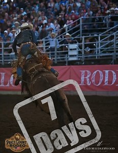 🐎 Saddle Bronc Riding 🐎 Saddle bronc is often called the "classic event" of rodeo — a true test of skill, style, and timing. What it’s all about: A cowboy climbs onto a bucking horse (called a bronc) and tries to ride it for 8 seconds, using a special saddle with no horn and holding onto a thick braided rope called a rein. It’s not just about staying on — it’s about riding with style and control. Fun Fact: Saddle bronc riding comes from the tradition of breaking wild horses on the open range. 