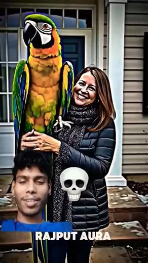 😱Small Bird Transforms Into Transformer #animals #trolledit #birds