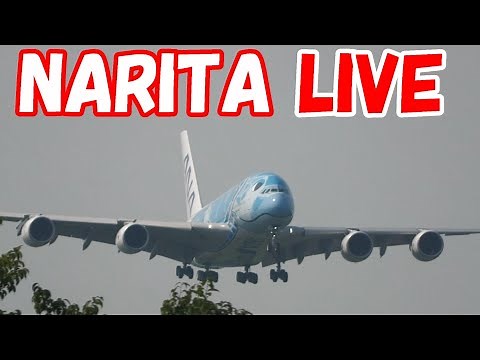 🔴LIVE at NARITA International Airport Plane Spotting 2022.08.20 成田空港ライブカメラ 成田空港からの離発着の飛行機をLIVE配信