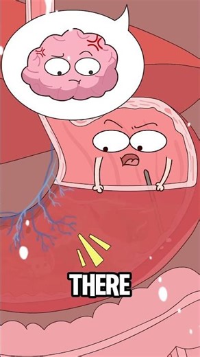 Why do you get stomachache when you're angry??#animation #funny #2danimation #shorts