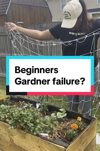 DIY Trellis Setup for Cucumbers and Tomatoes