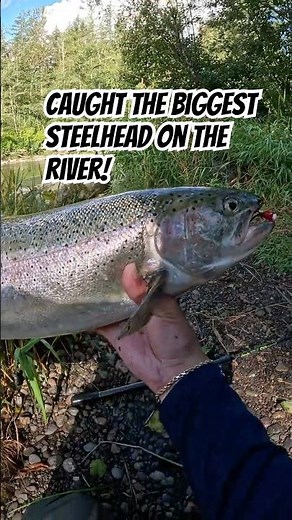 HUGE Summer Steelhead fishing a jig! #fishing #steelhead #salmon