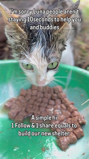 For all pledges and donations link in bio to support the cause, If you wish to make changes in lives