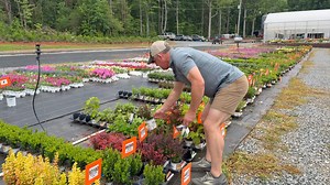 Join Jerry on a quick garden tour of different areas, showcasing various projects and plantings. He offers inspiration from the garden tour, highlighting some of the best perennial flowers and providing great gardening tips. 🛍️ Join our FREE Loyalty Rewards Program here https://bit.ly/4gqWXeS 🌼 Shop Creekside's Online Store https://bit.ly/3sSRiut 📩 Sign up for our emails here! https://bit.ly/3uXq6MB 🪴 Companies We Partner With 🪴 Power Planter Garden Augers & Drills http://bit.ly/3ZZ98GY Hos