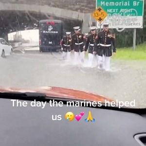 They are still marching in line 😍 | Poke My Heart