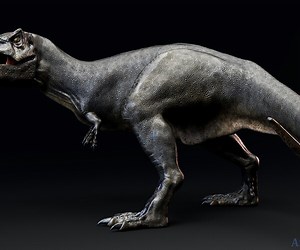 ArtStation - Dinosaur Sub-Adult TRex Model Unreal Engine - Unity Projects | Game Assets