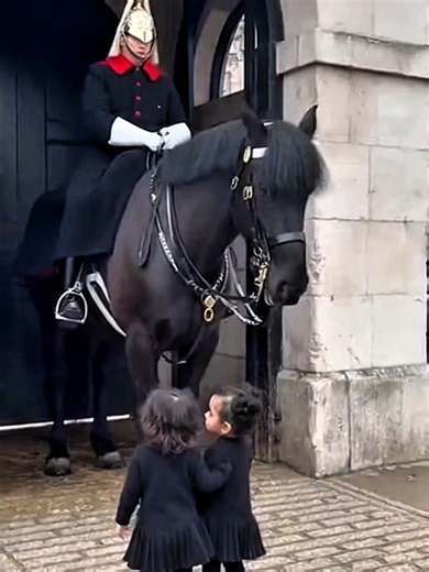 Two Little Girls Meet a Royal Horse